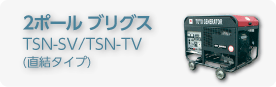 2ポールホンダブリガス